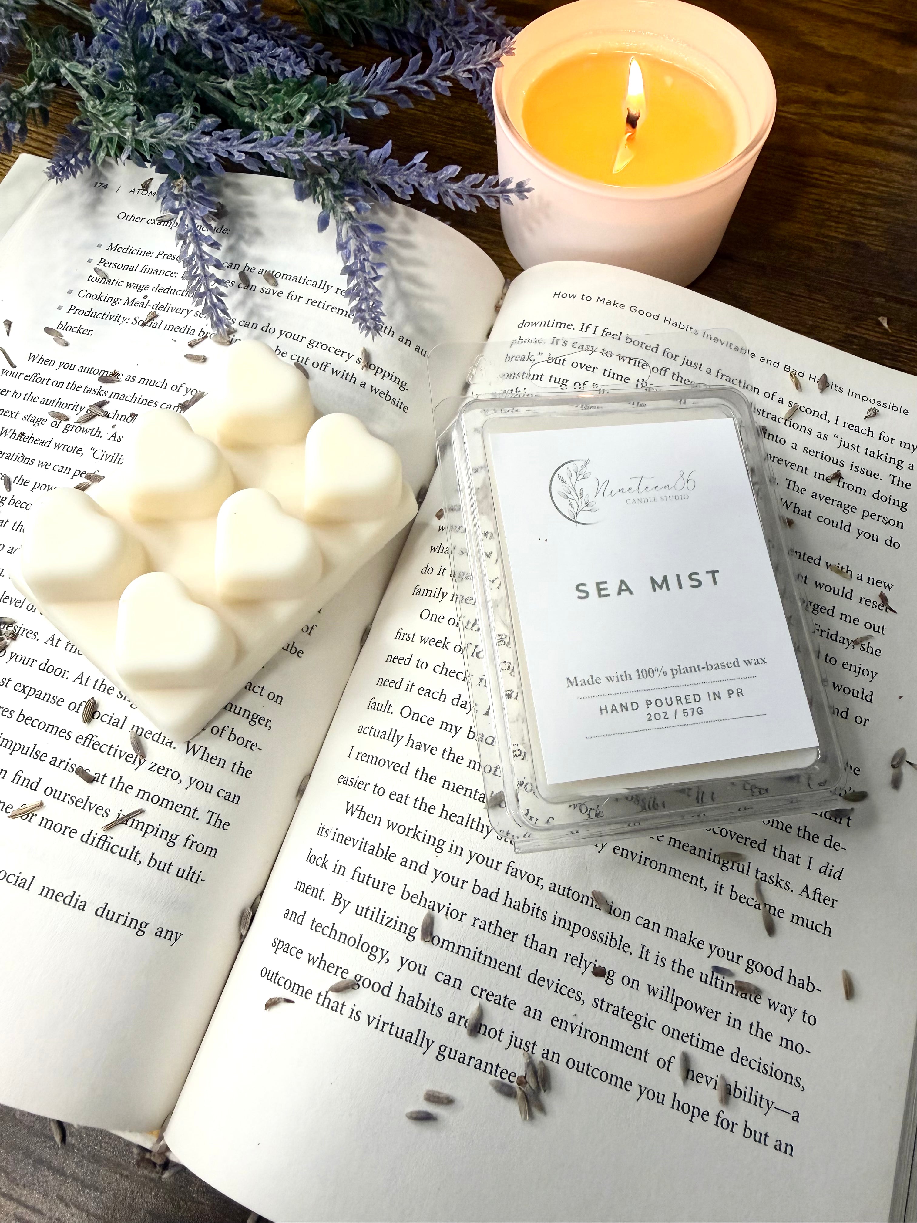 Sea Mist Wax Melt