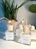 Mango and Coconut Milk Car Freshener