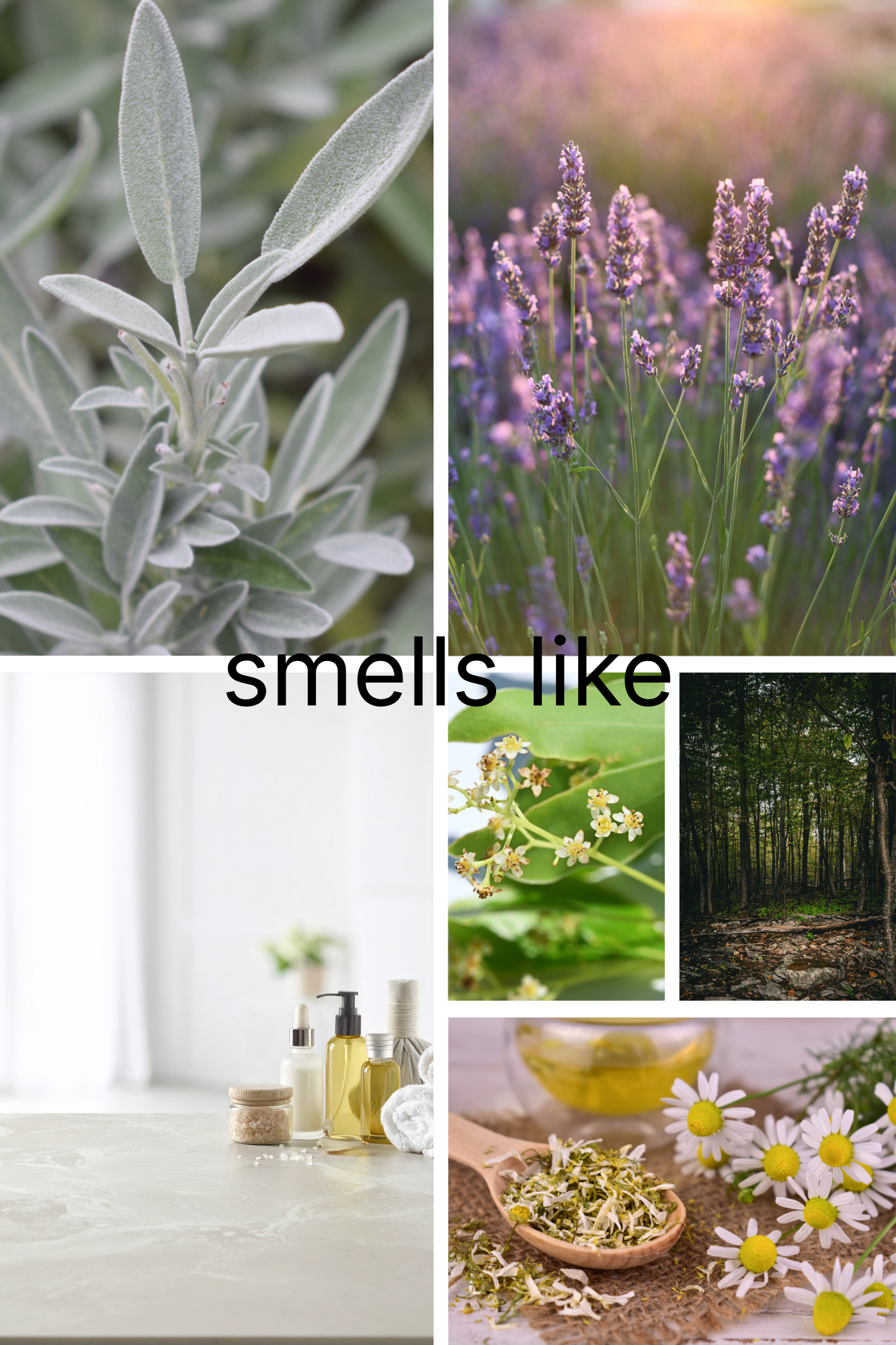 Lavender and Sage | Vela Aromática | 8oz