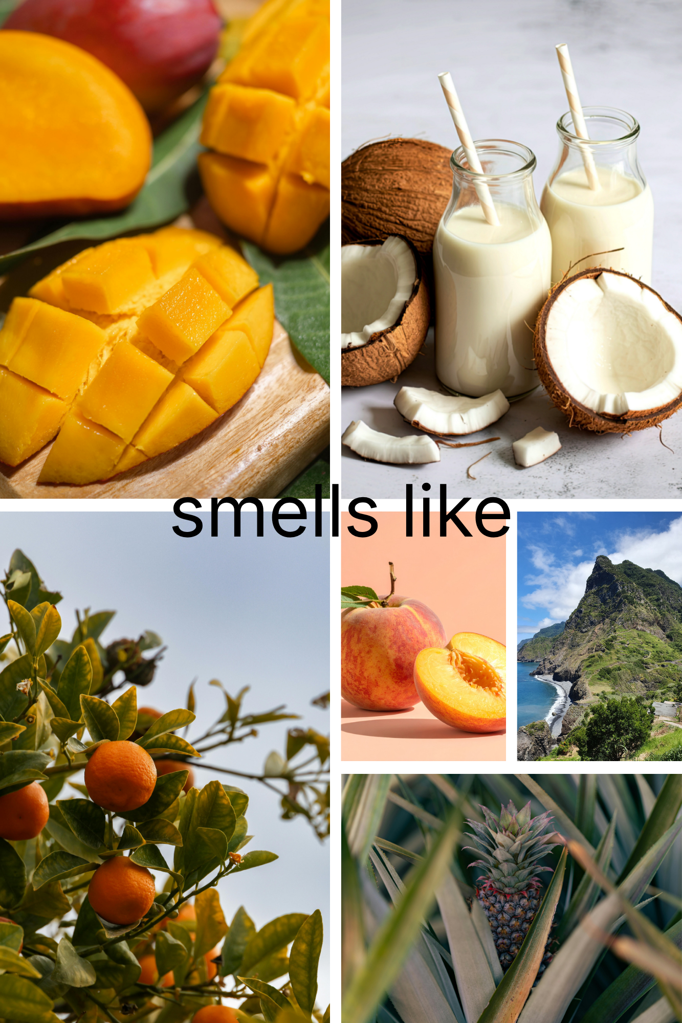 Mango and Coconut Milk | Vela Aromática | 3oz
